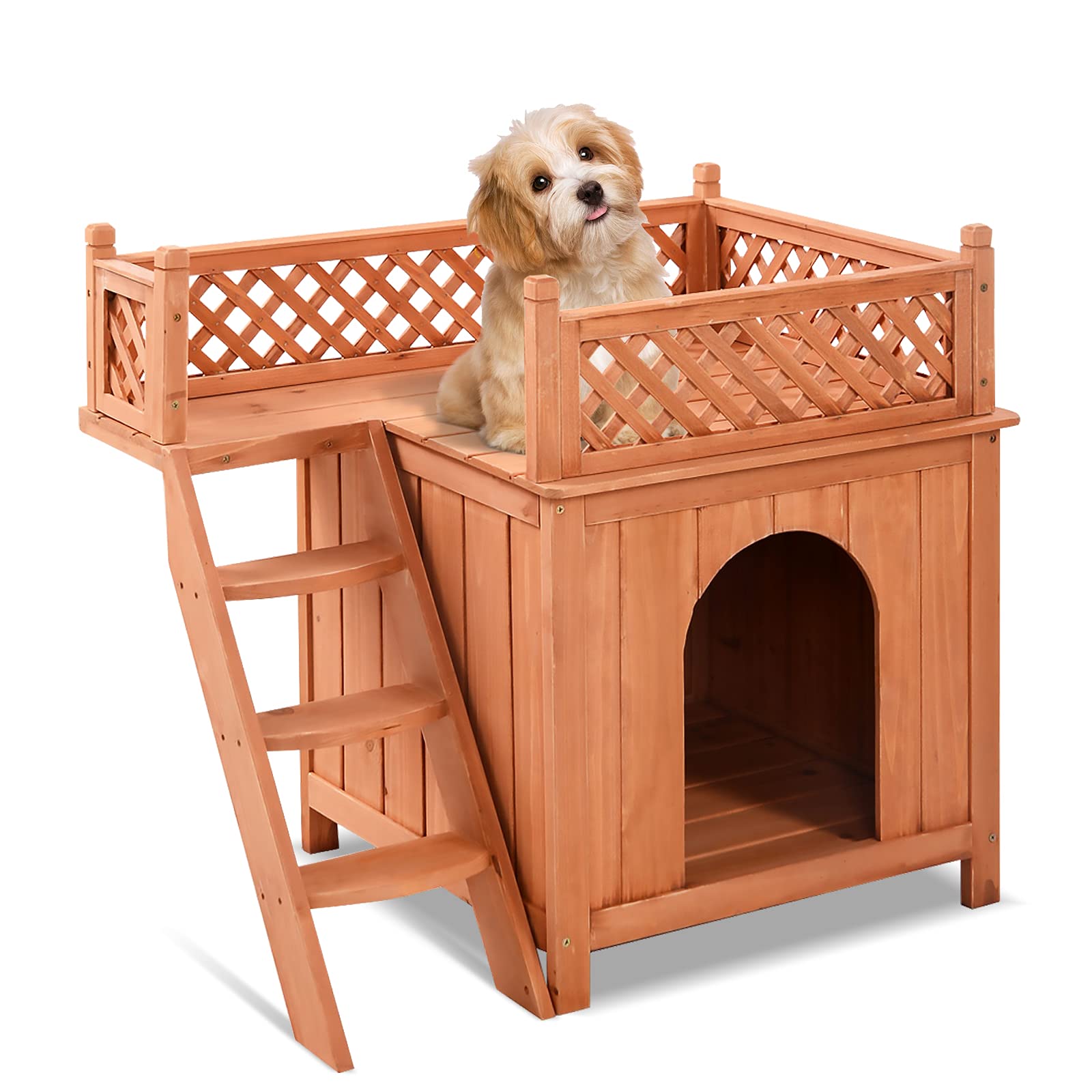 Small-Dog-House-Indoor-1